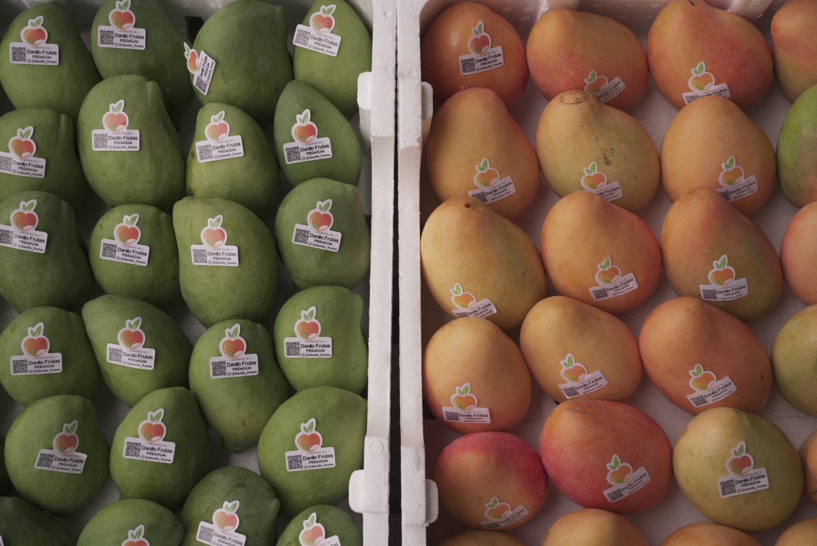 Frutas frescas do Vale do São Francisco