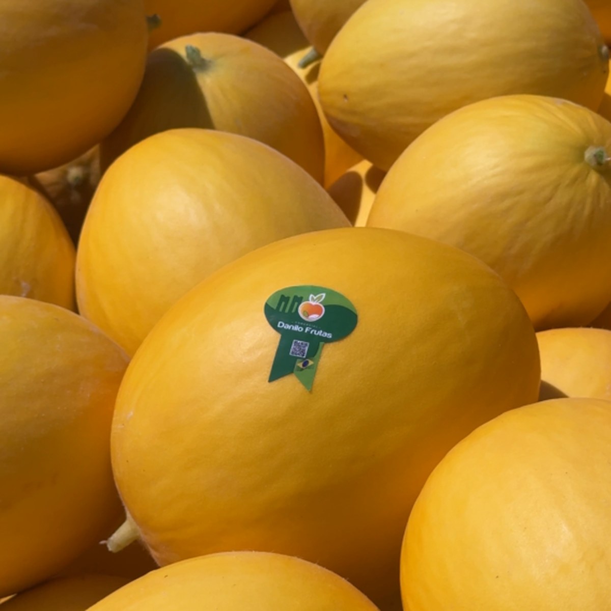 Melão Amarelo